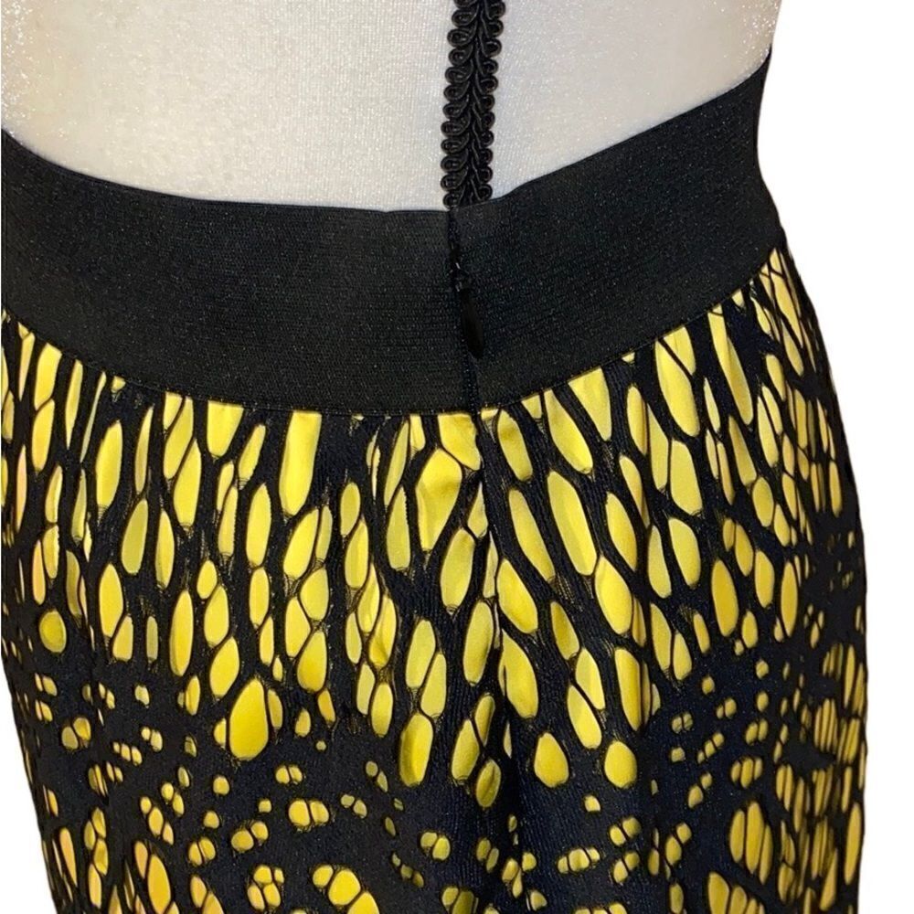 Robert Rodriguez Lace Overlay Mini Skirt - Picture 5 of 9